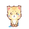Cream  KittenMOV 20