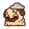 •● Puglie Pug Mov. ●• 25