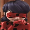 LADYBUG 28
