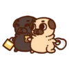 •● Puglie Pug Mov. ●• 26