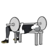 Fitness Gym Mov. 28