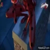 LADYBUG 29