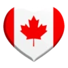 Heart flags 19