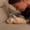Котята 28
