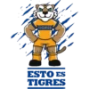 ️ TIGRES UANL.MOV 30