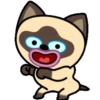 Gato siamês 6
