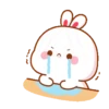 LOVELY RABBIT2 5