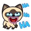 Gato siamês 7