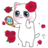 CATS mov. 8