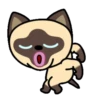 Gato siamês 8