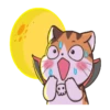Soidow Cat Halloween 6