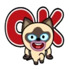 Gato siamês 10