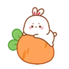 LOVELY RABBIT2 10