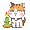 Soidow Cat Halloween 8
