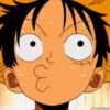 Monkey D. Luffy MOV 15