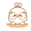 LOVELY RABBIT2 11