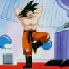 Dragon Ball Z 13