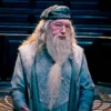 Гарри Поттер 13