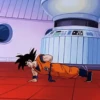 Dragon Ball Z 14