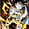 Dragon Ball Z 15