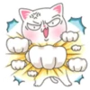 CATS mov. 15