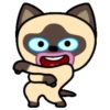 Gato siamês 13