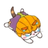 Soidow Cat Halloween 12