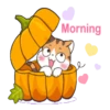 Soidow Cat Halloween 15