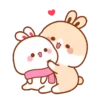 LOVELY RABBIT2 14