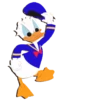 Donald Duck 15
