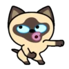 Gato siamês 16