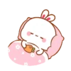 LOVELY RABBIT2 21