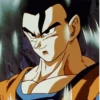 Dragon Ball Z 21