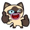 Gato siamês 18