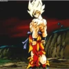 Dragon Ball Z 24