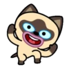 Gato siamês 21