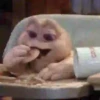 🦖Sinclair Dinosaurs🦖 Mov 22