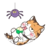 Soidow Cat Halloween 22