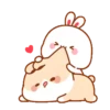 LOVELY RABBIT2 24