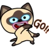 Gato siamês 24