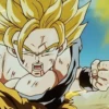 Dragon Ball Z 29
