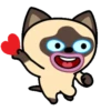 Gato siamês 25