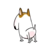 PERRITOS mov 6