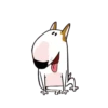 PERRITOS mov 10