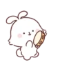 Quaninc bunny🐰 12