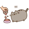 Pusheen no tienes llenadera MOV 13