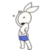 Bun dog and rabbit  MOV 9