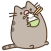 Pusheen no tienes llenadera MOV 16
