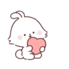 Quaninc bunny🐰 14