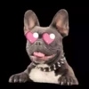 Perros Mixtos  ♡ 11